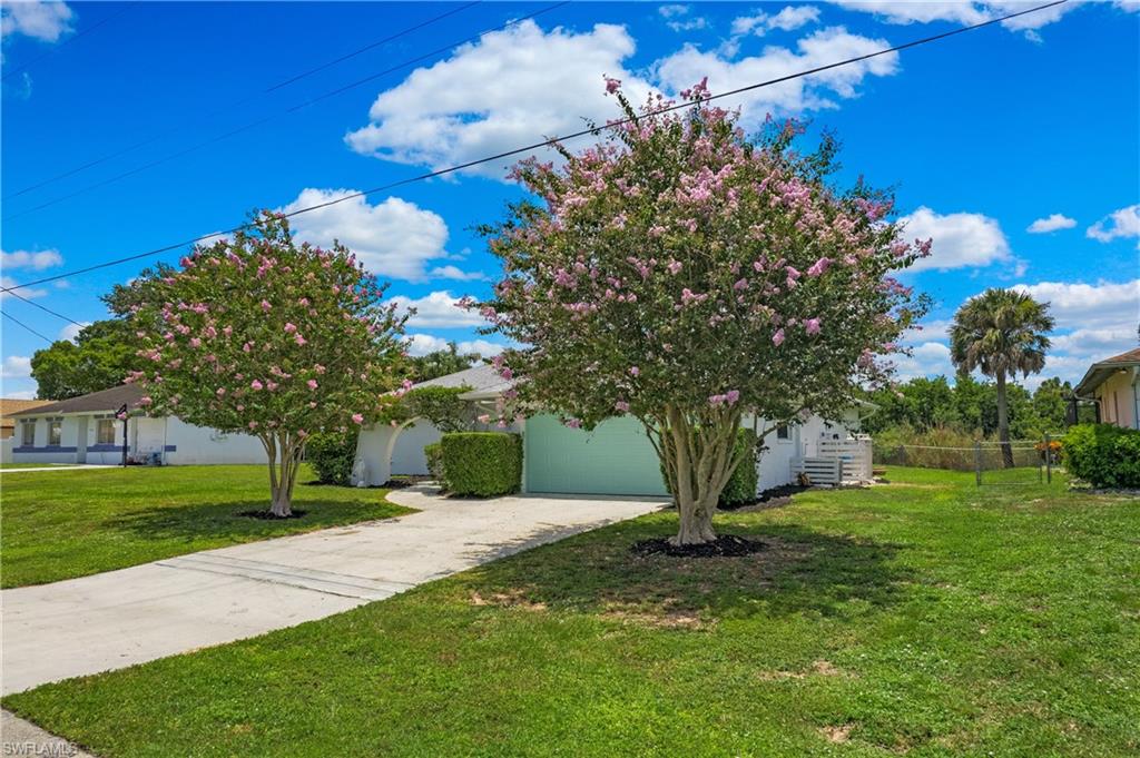 4736 25th Avenue Southwest Naples, FL 34116 - Photo 18 of 22 a view of a yard with an tree