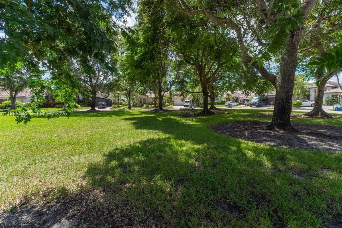 347 Fairmont Road Weston, FL 33326 - Photo 38 of 42 a view of a trees in a yard