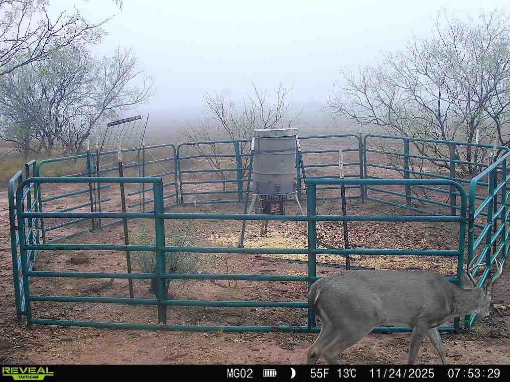 600 Fm 600 Haskell, TX 79521 - Photo 4 of 34 a view of outdoor space