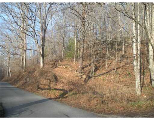 92 Pigeon Roost Road Kenna, WV 25248 - Photo 3 of 6 Land.