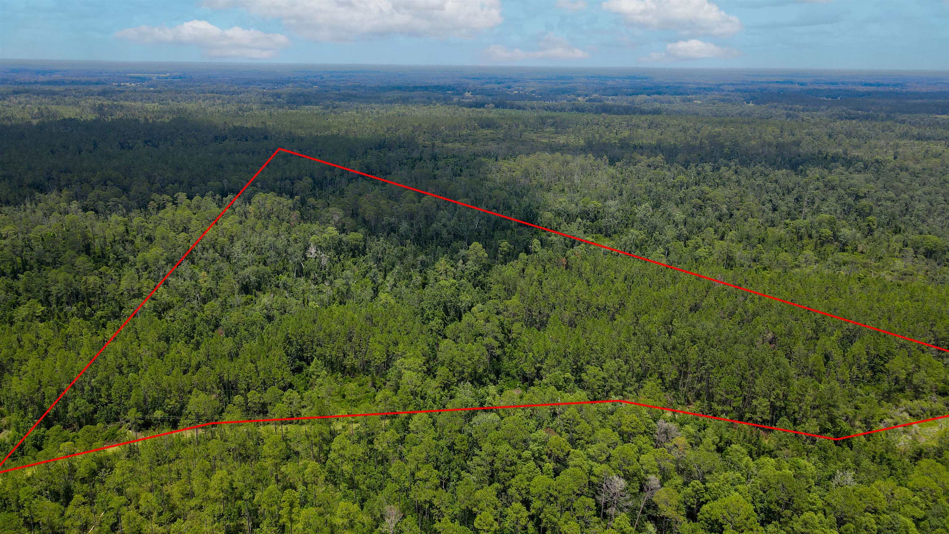 Lot 115 Southwest Lot Road Greenville, FL 32331 - Photo 10 of 12 Gallery Image 10