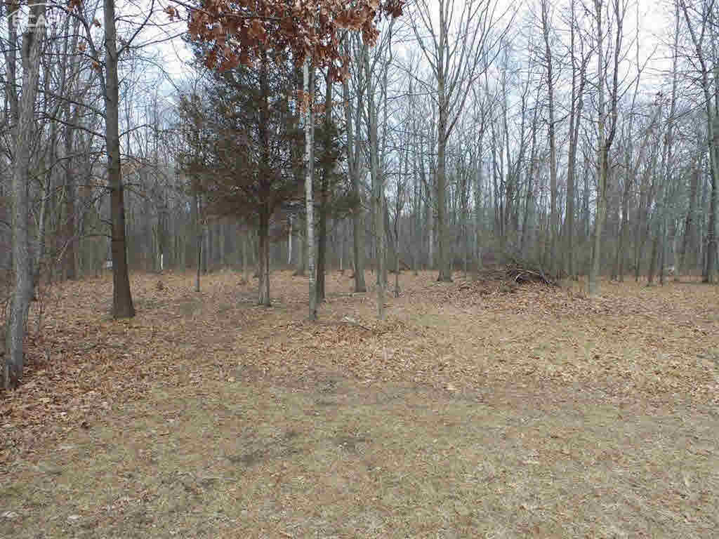 12208 West Sharon Road Oakley, MI 48649 - Photo 9 of 27 21413606-8.JPG