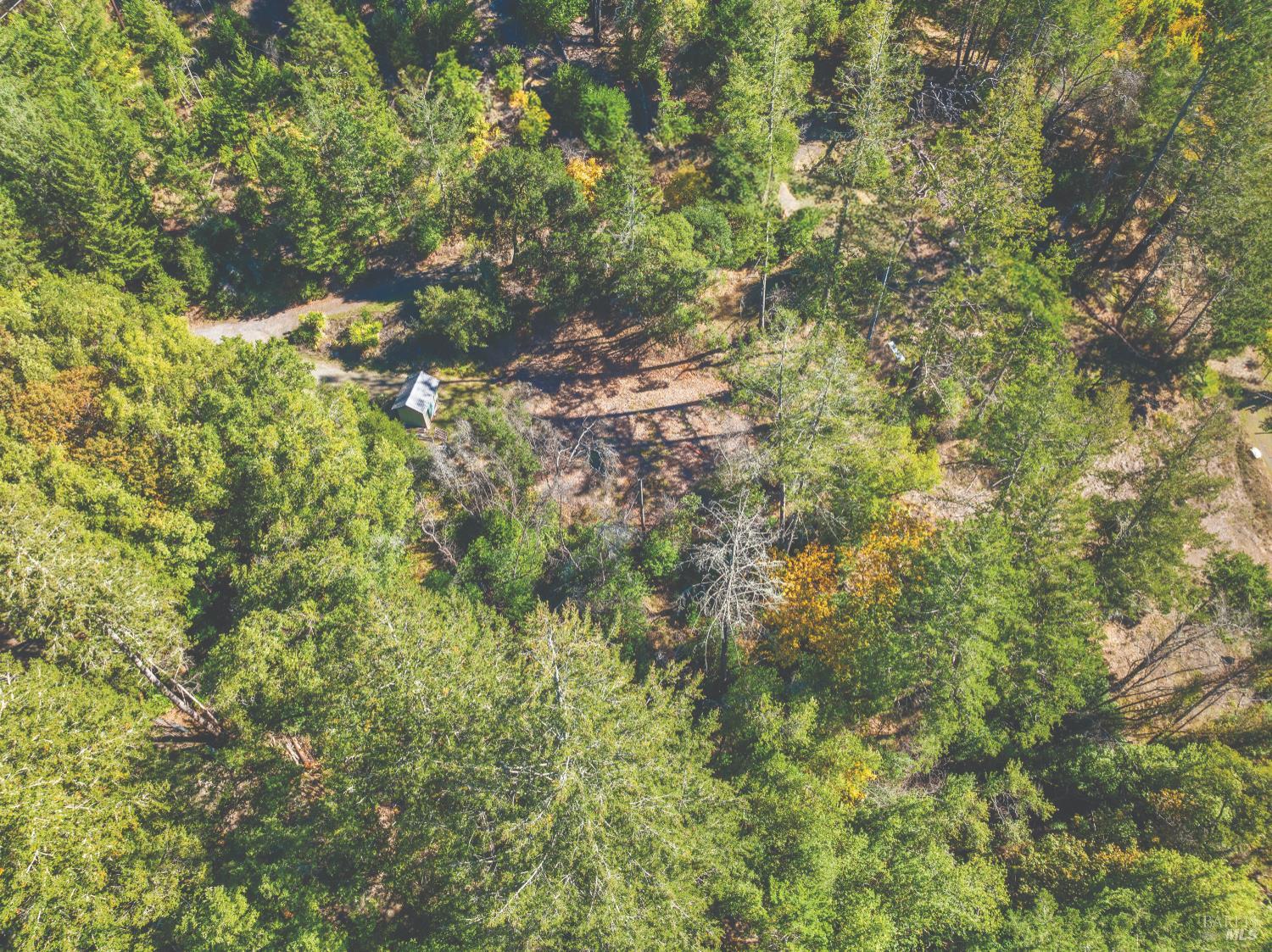 6581 St Helena Road Santa Rosa, CA 95404 - Photo 11 of 33 a view of a tree