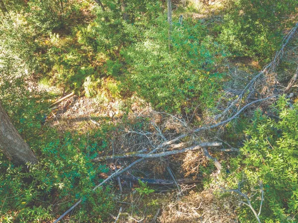 $199,000 | 6581 St Helena Road, Santa Rosa, CA 95404