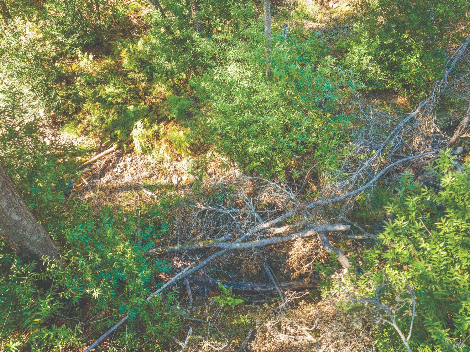 6581 St Helena Road Santa Rosa, CA 95404 - Photo 17 of 33 a backyard of a house with lots of green space and shower