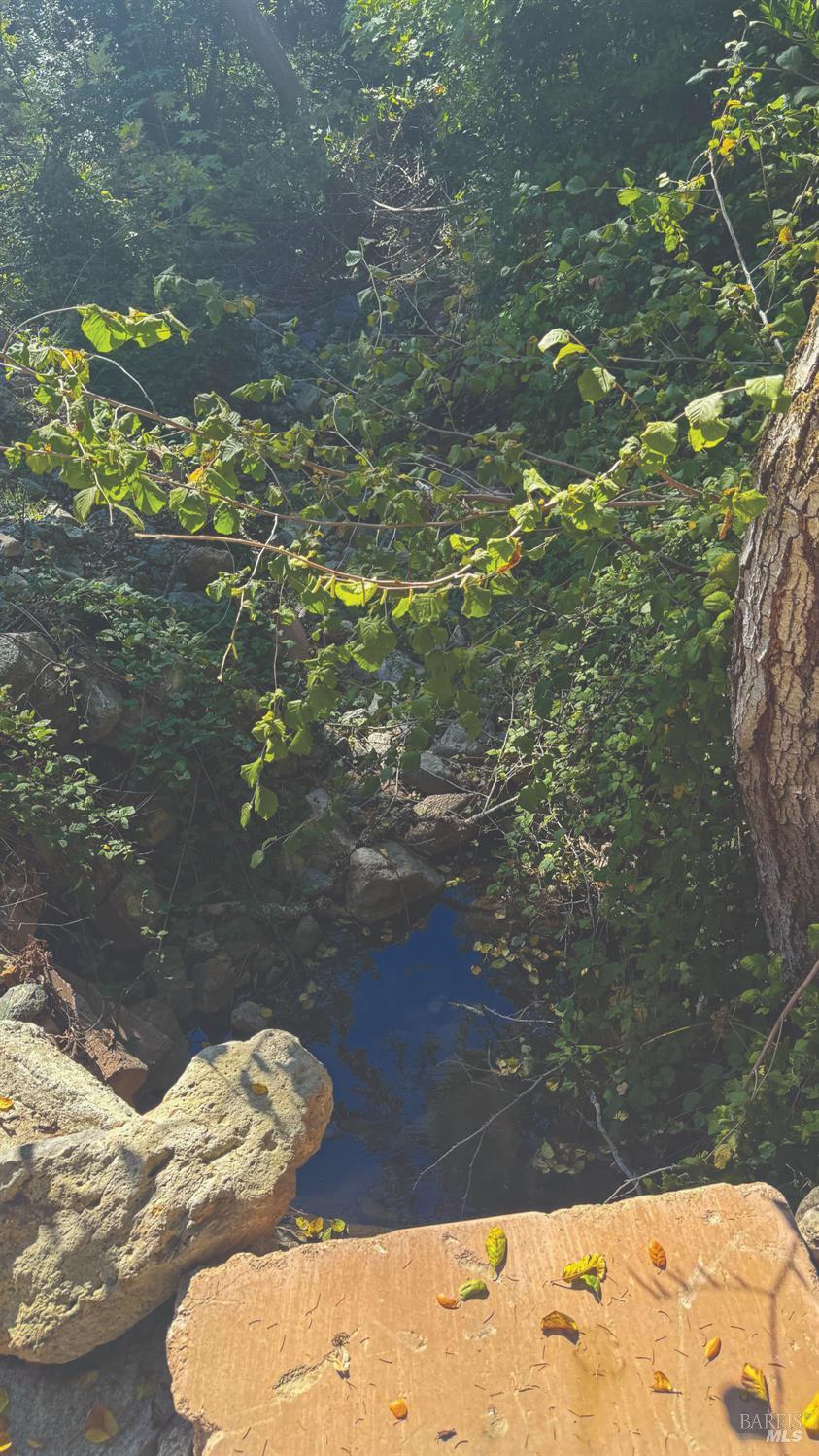 6581 St Helena Road Santa Rosa, CA 95404 - Photo 22 of 33 a view of a tree with wooden fence