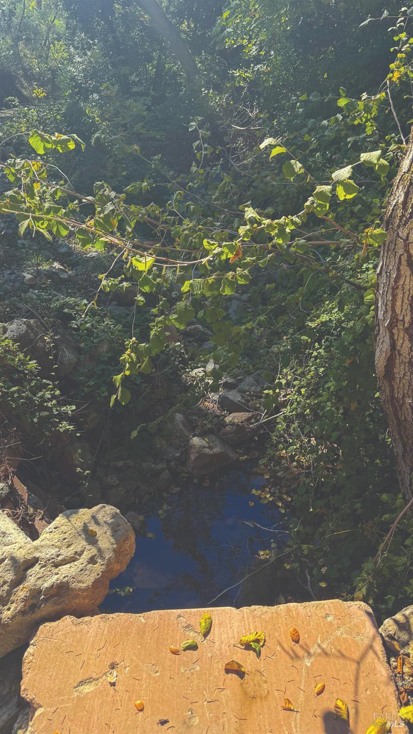 6581 St Helena Road Santa Rosa, CA 95404 - Photo 23 of 33