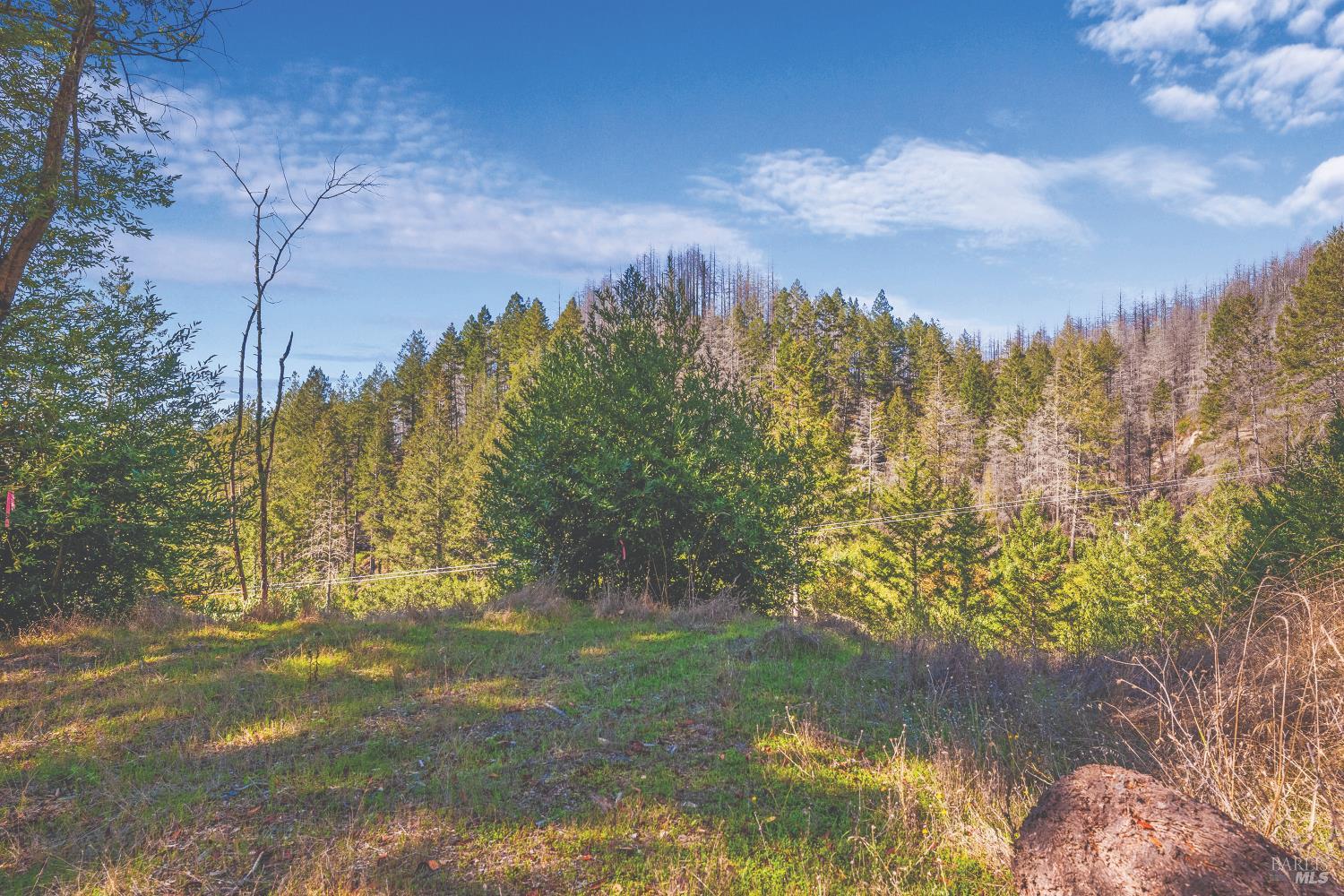 6581 St Helena Road Santa Rosa, CA 95404 - Photo 24 of 33 a view of lake view and mountain view
