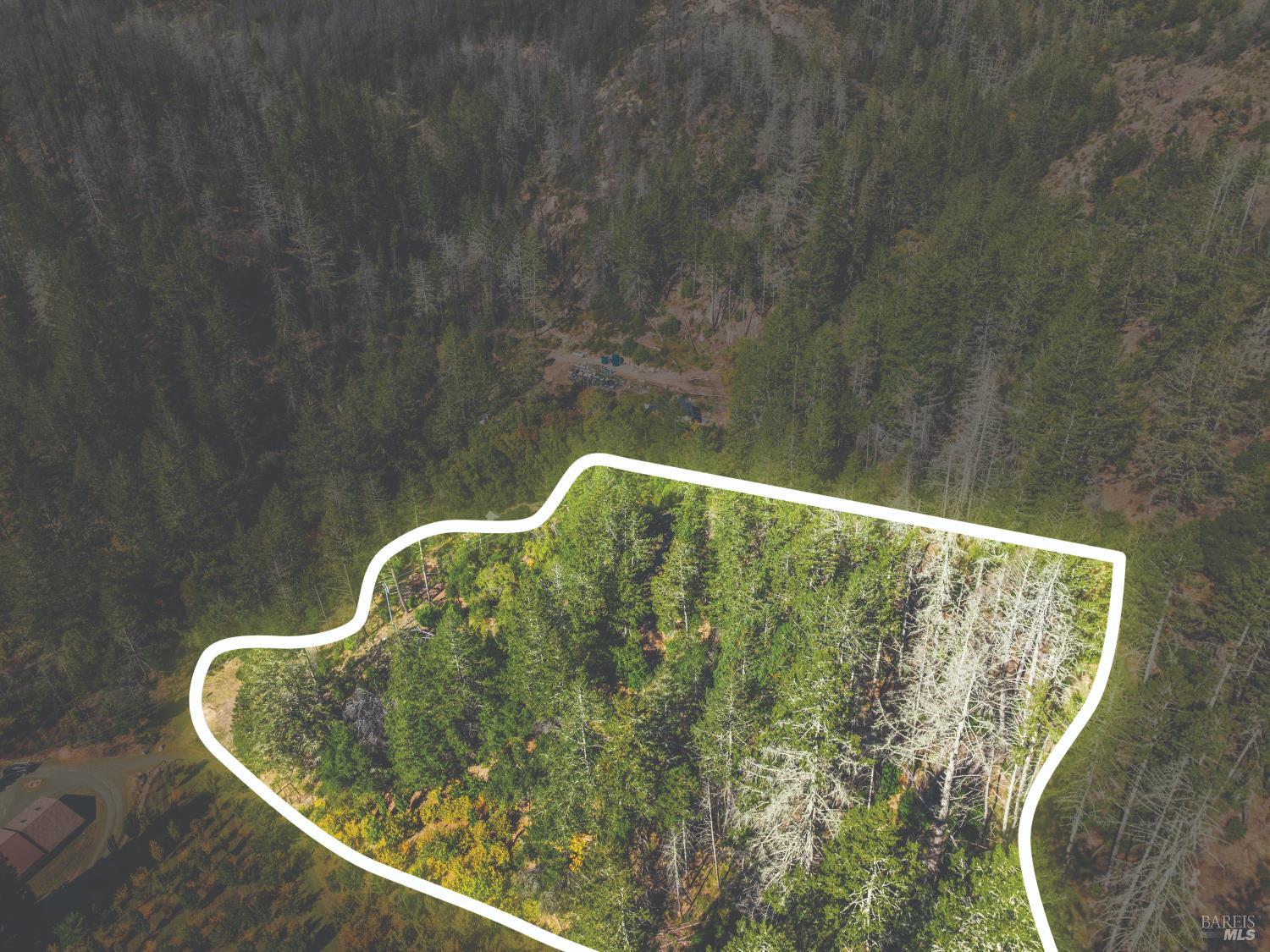 6581 St Helena Road Santa Rosa, CA 95404 - Photo 31 of 33 a view of outdoor space and mirror