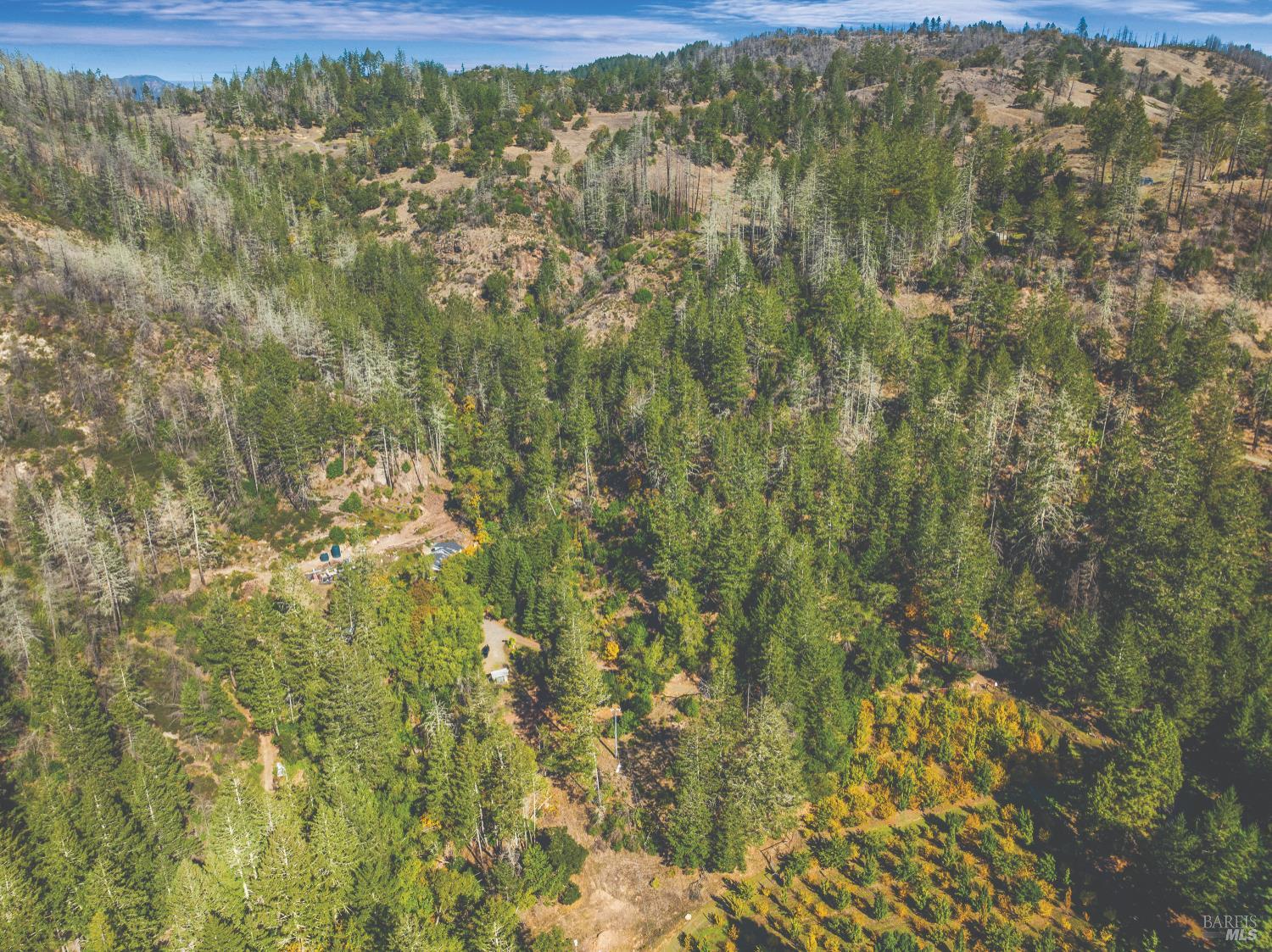 6581 St Helena Road Santa Rosa, CA 95404 - Photo 33 of 33 a view of a forest with an outdoor space