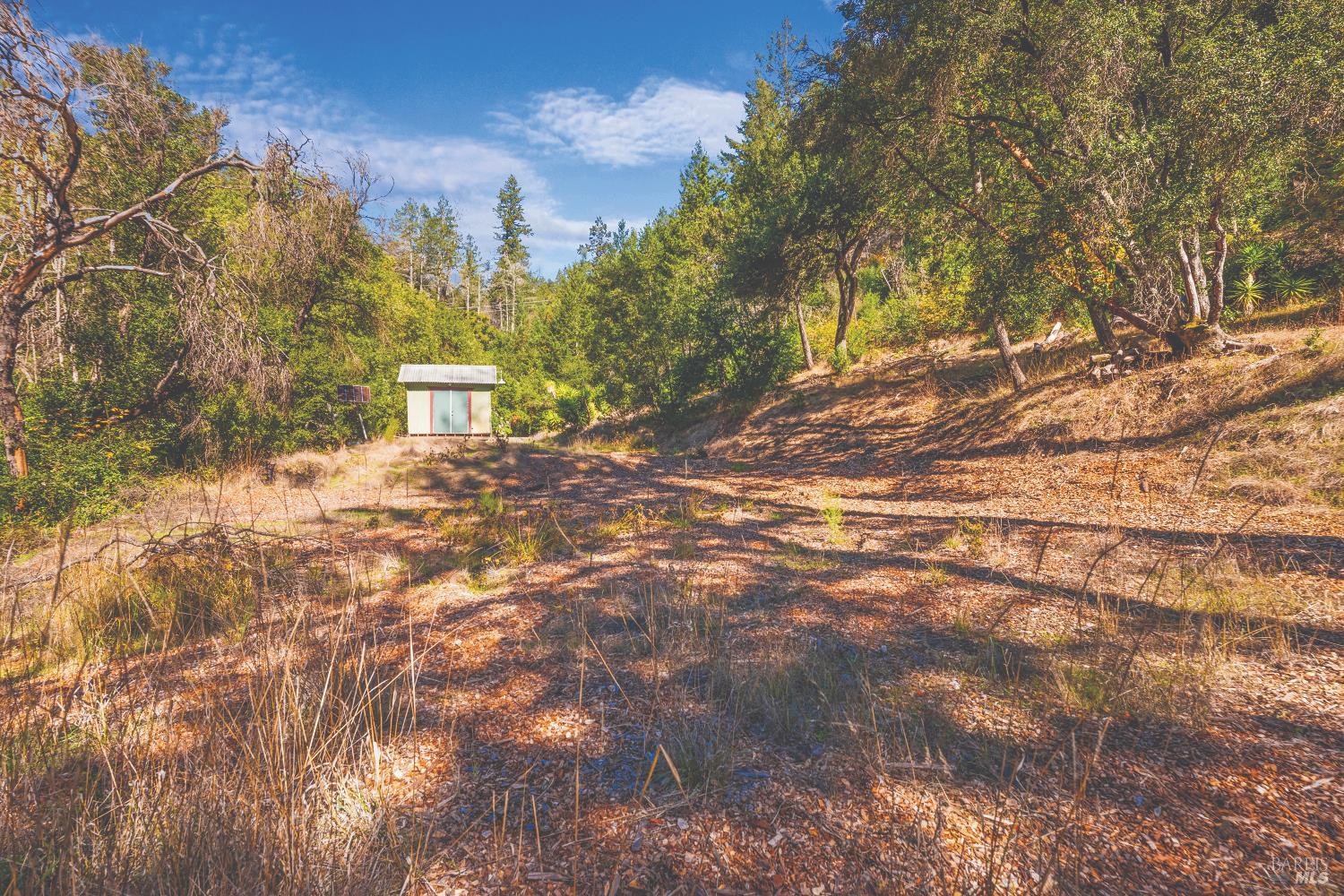 6581 St Helena Road Santa Rosa, CA 95404 - Photo 4 of 33 a view of a yard with plants and trees