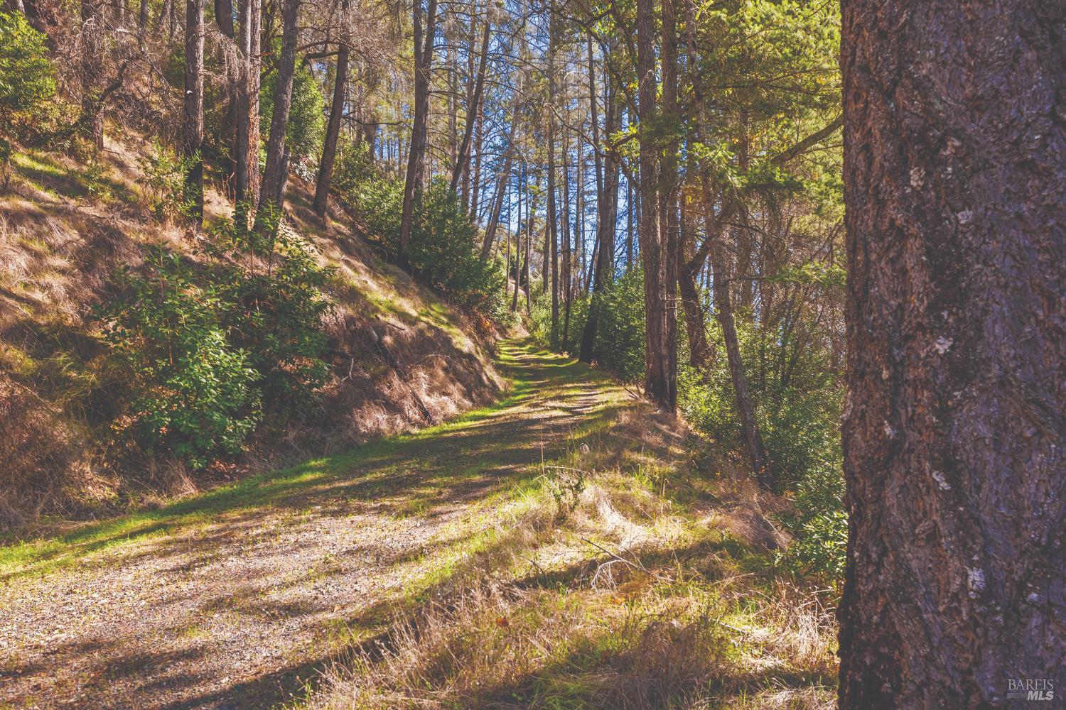 6581 St Helena Road Santa Rosa, CA 95404 - Photo 5 of 33 a view of backyard with green space