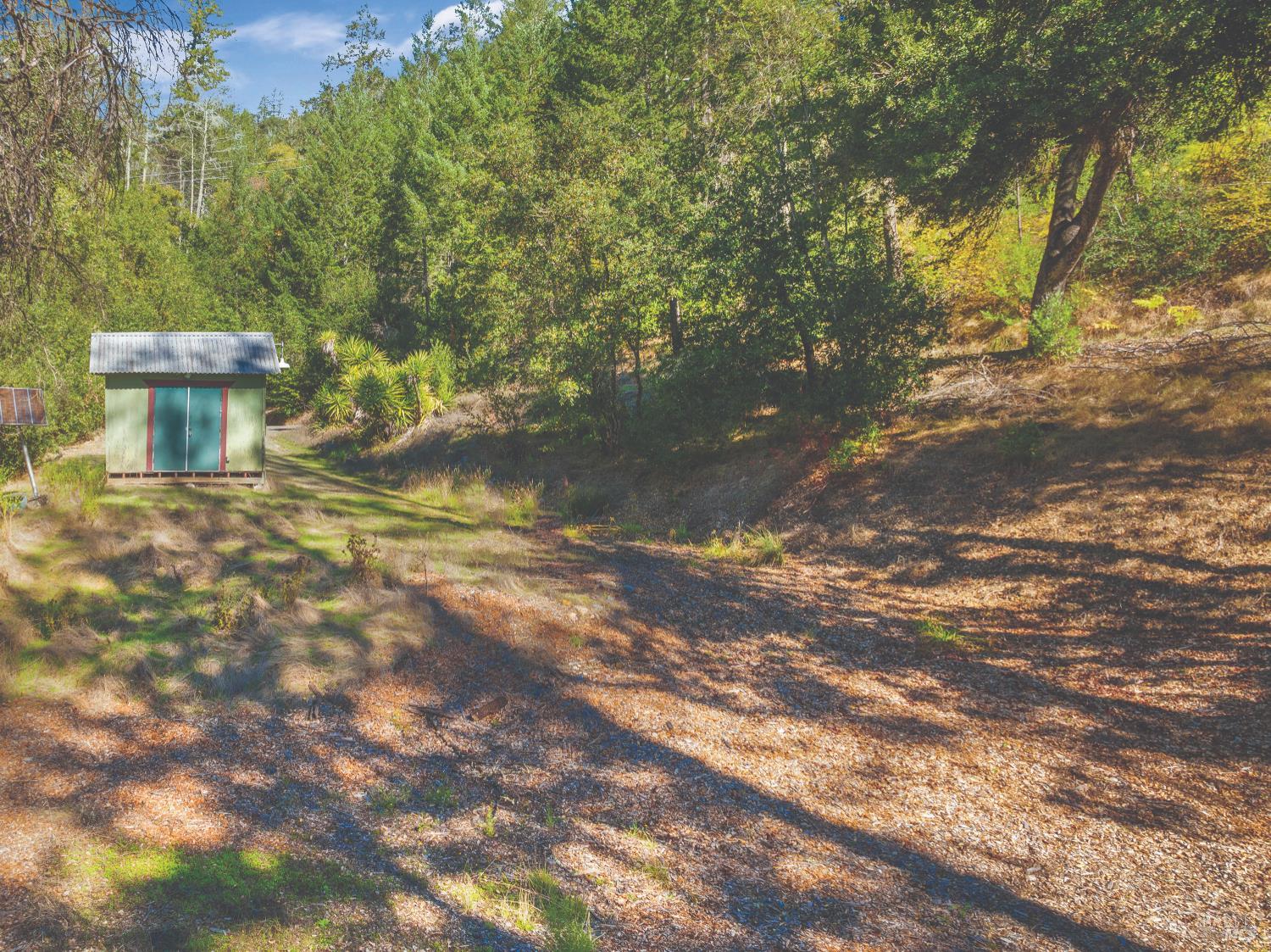 6581 St Helena Road Santa Rosa, CA 95404 - Photo 6 of 33 a view of a yard with plants and large trees