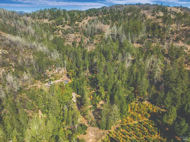 a view of a forest with an outdoor space