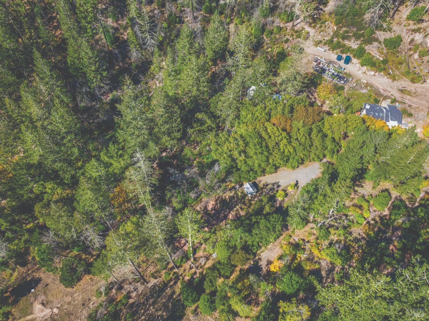 6581 St Helena Road Santa Rosa, CA 95404 - Photo 9 of 33 a view of a yard
