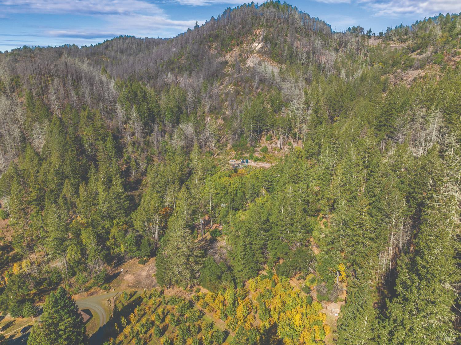 6581 St Helena Road Santa Rosa, CA 95404 - Photo 10 of 33 a view of forest