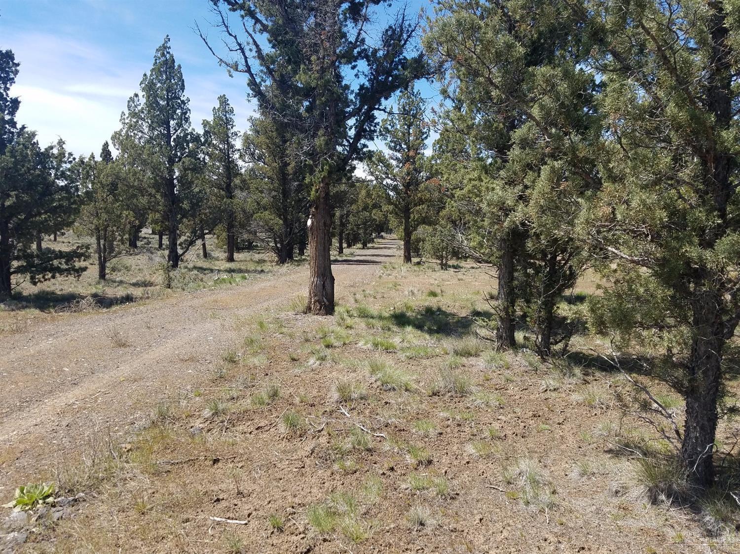 12632 Southeast Bridge Road Prineville, OR 97754 - Photo 11 of 14 Additional Photo