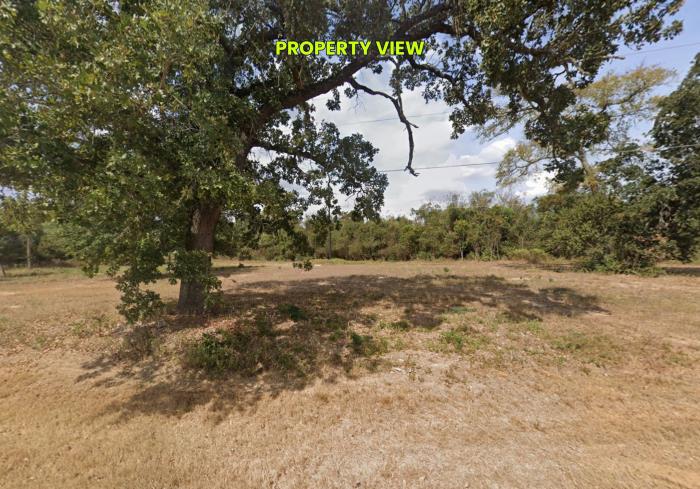 Mitchamore Road Hempstead, TX 77445 - Photo 7 of 24 Gallery Image 7