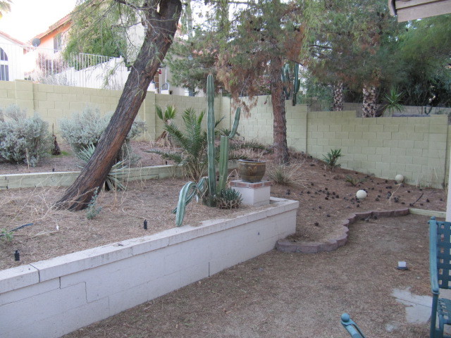 1639 East Wagoner Road Phoenix, AZ 85022 - Photo 2 of 3 Back Yard