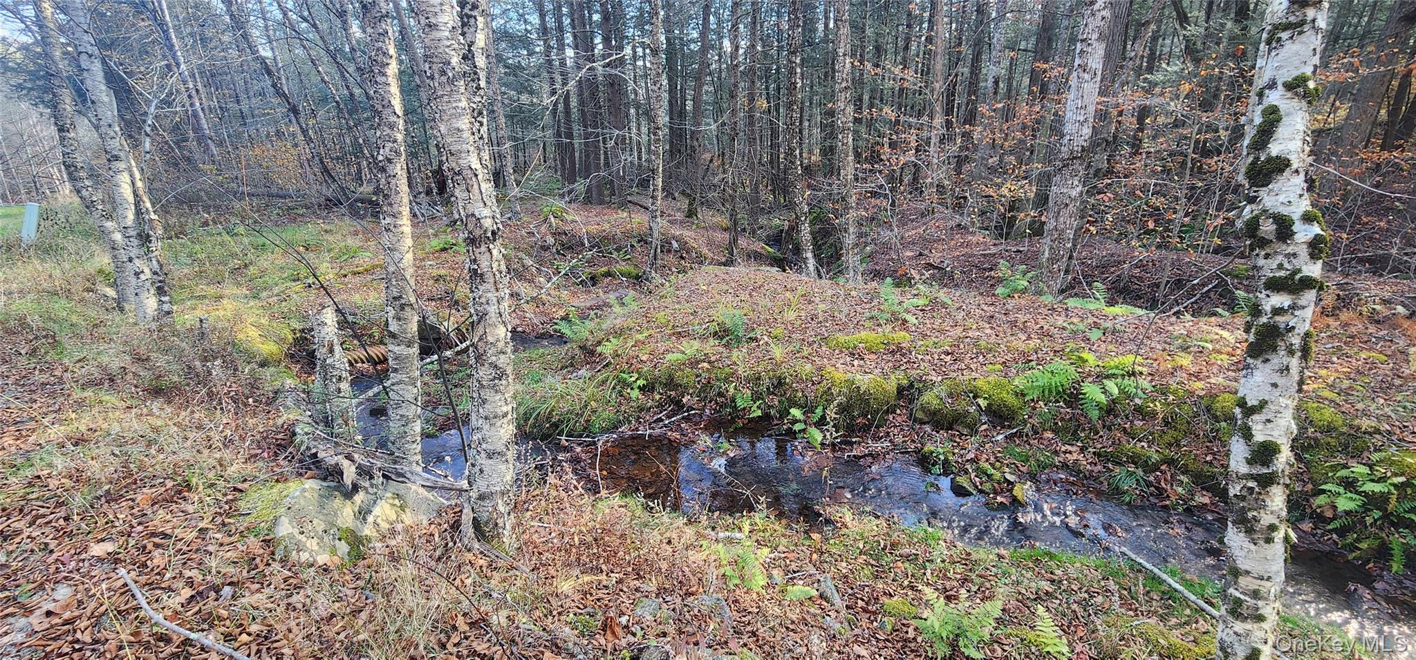 0 Hunter Road Livingston Manor, NY 12758 - Photo 12 of 18 View of undeveloped land