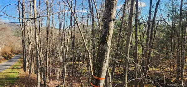 $249,500 | 0 Hunter Road, Livingston Manor, NY 12725