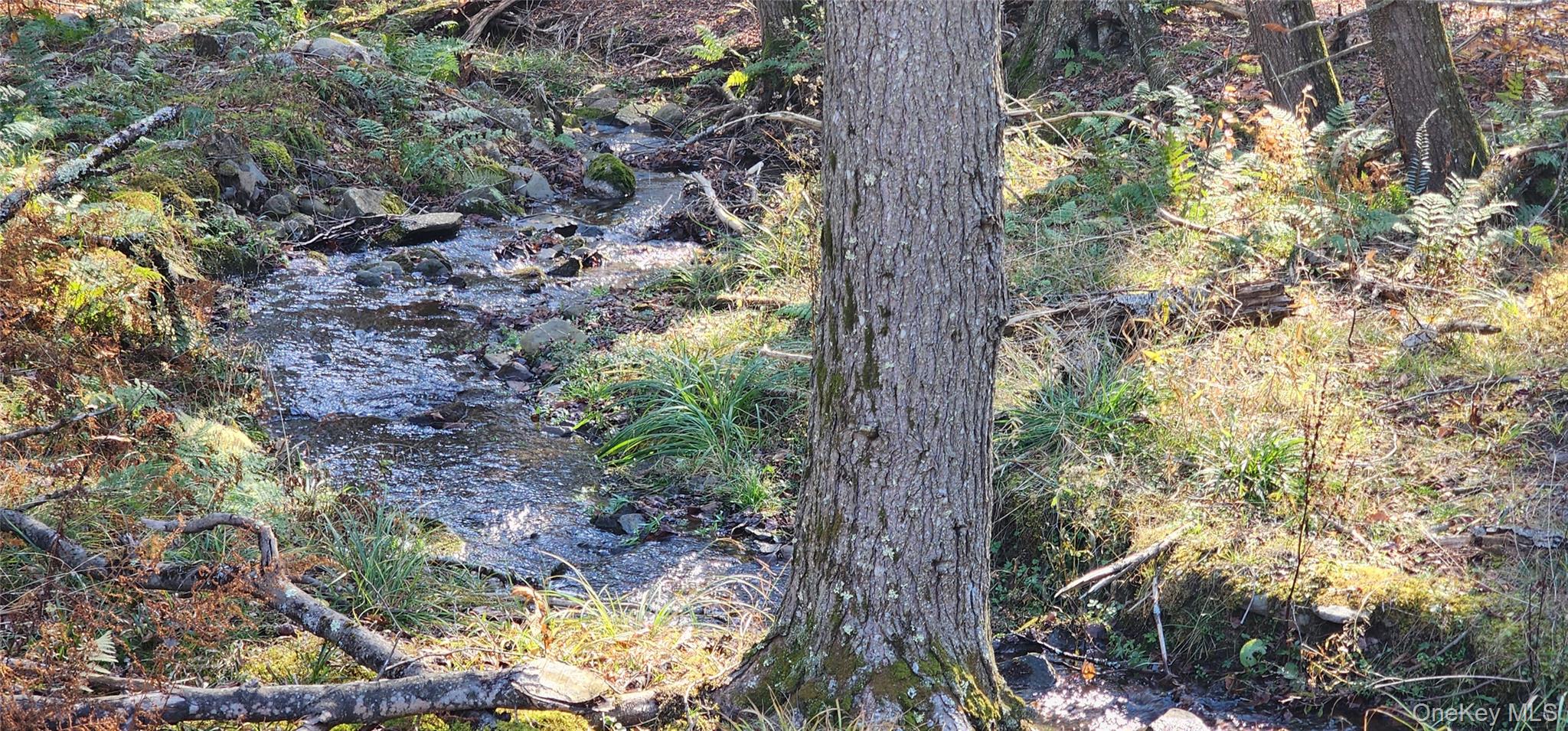 0 Hunter Road Livingston Manor, NY 12758 - Photo 16 of 18 View of undeveloped land