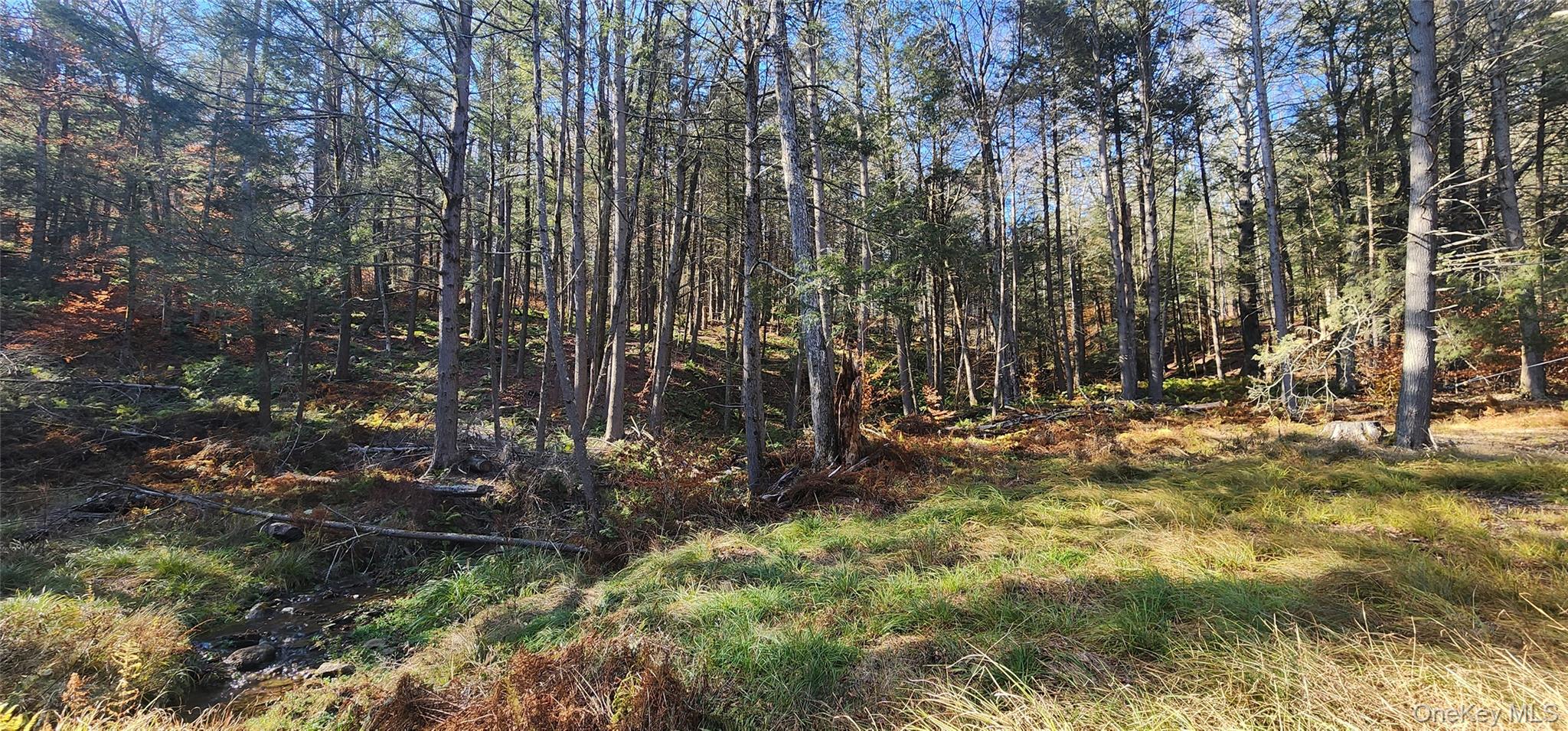 0 Hunter Road Livingston Manor, NY 12758 - Photo 17 of 18 View of tree filled area
