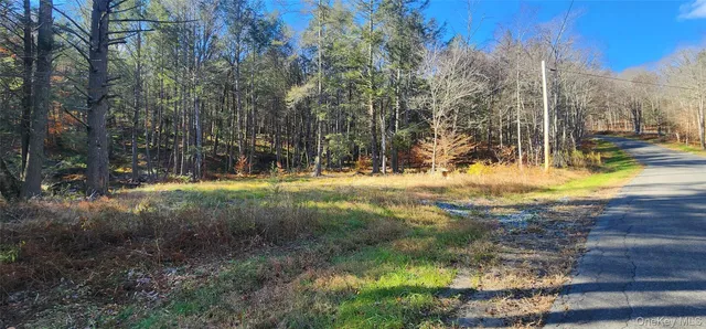 a view of a yard with large trees