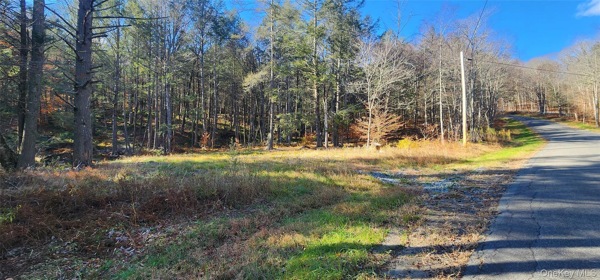 0 Hunter Road Livingston Manor, NY 12758 - Photo 2 of 18 View of asphalt road featuring a view of trees