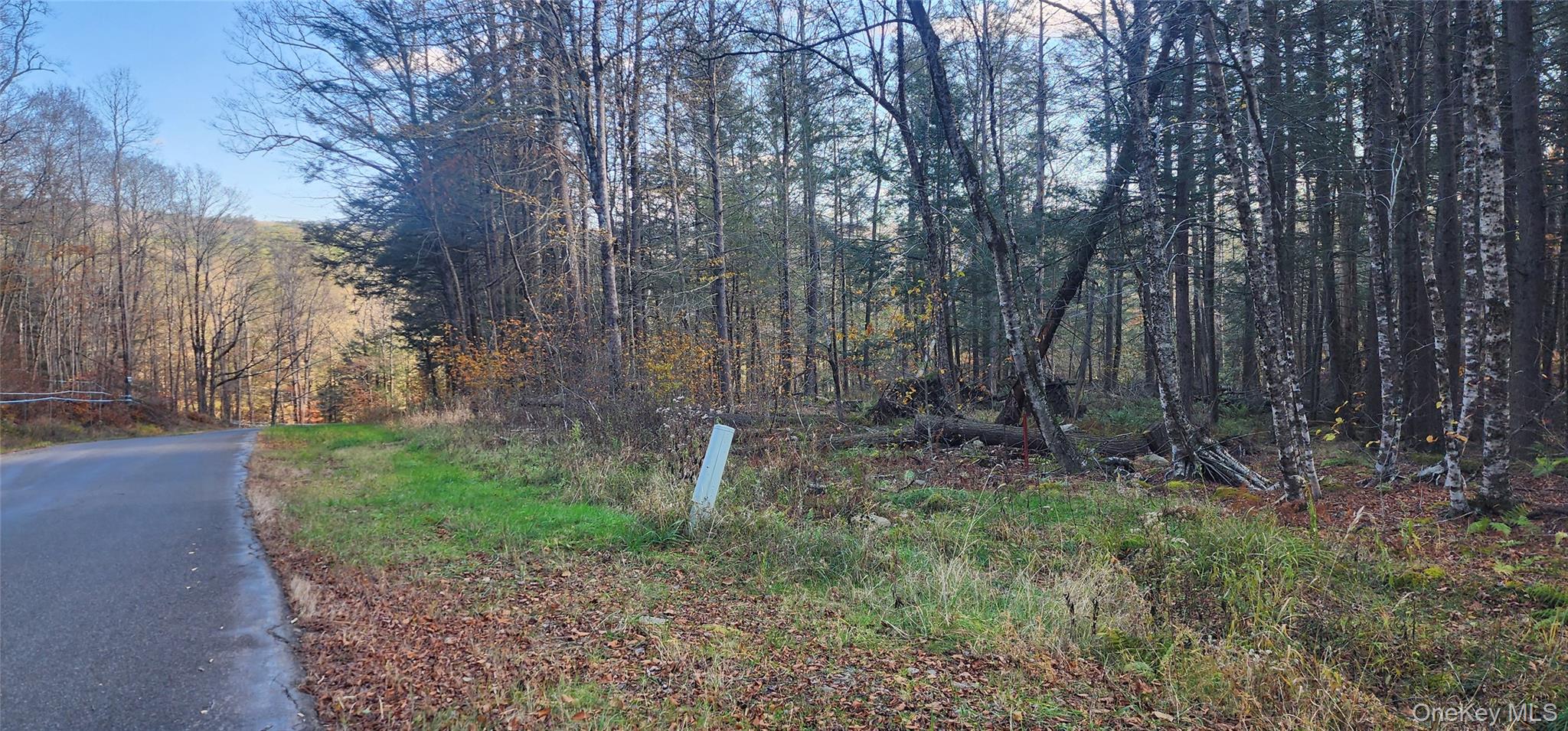 0 Hunter Road Livingston Manor, NY 12758 - Photo 3 of 18 View of asphalt street with a view of trees