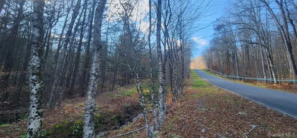 $249,500 | 0 Hunter Road, Livingston Manor, NY 12725