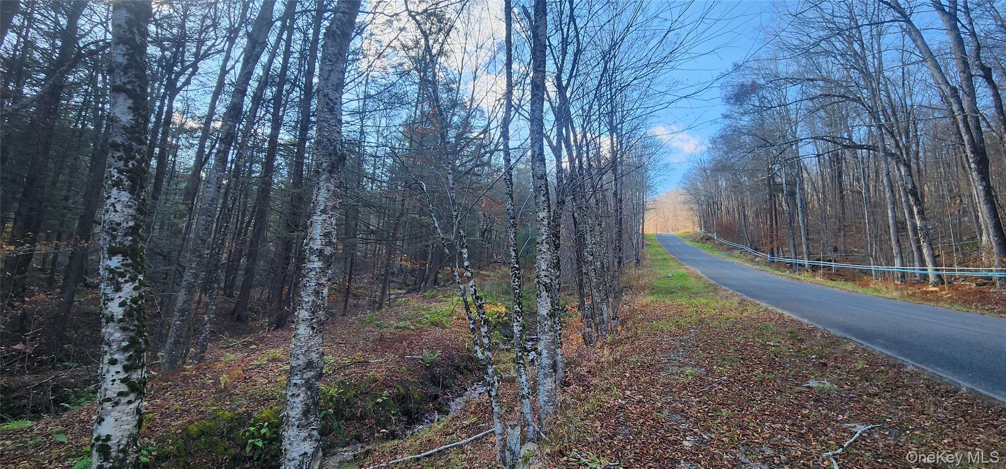 0 Hunter Road Livingston Manor, NY 12758 - Photo 4 of 18 View of asphalt road featuring a view of trees