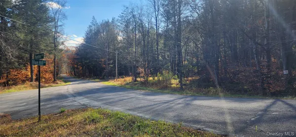 $249,500 | 0 Hunter Road, Livingston Manor, NY 12725