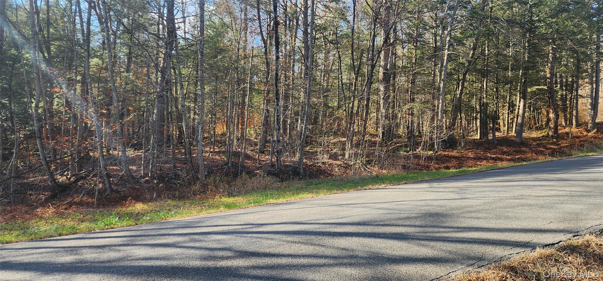 0 Hunter Road Livingston Manor, NY 12758 - Photo 6 of 18 View of asphalt road