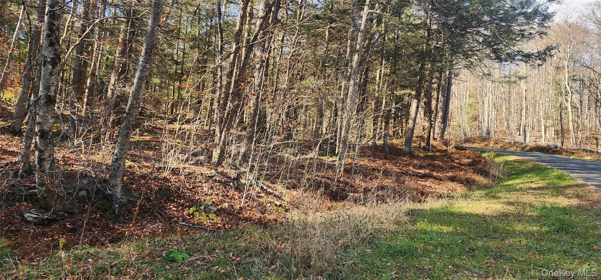 0 Hunter Road Livingston Manor, NY 12758 - Photo 8 of 18 View of tree filled area
