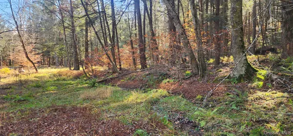 $249,500 | 0 Hunter Road, Livingston Manor, NY 12725