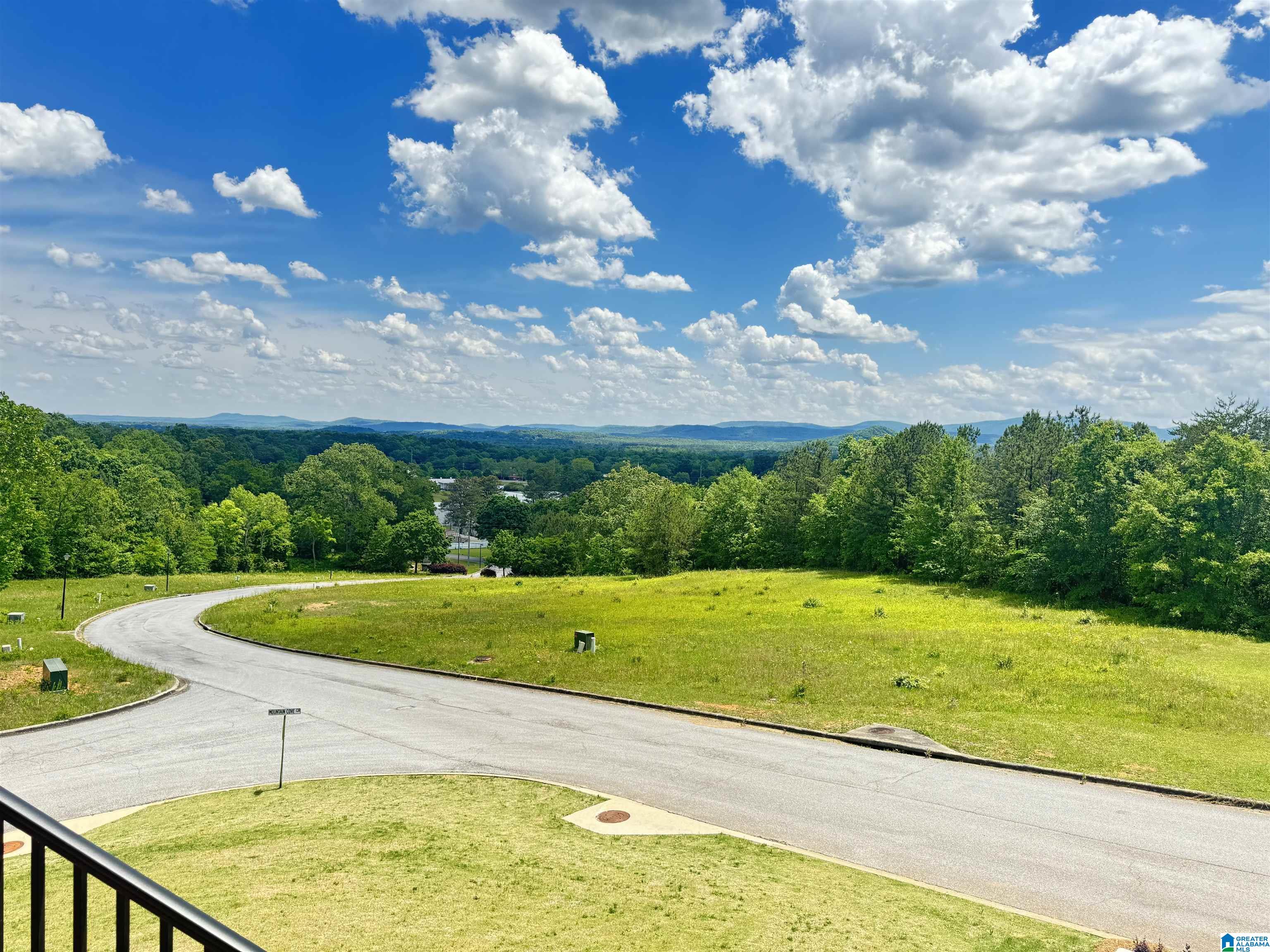 142 Mountain Ridge Road Oxford, AL 36203 - Photo 42 of 63