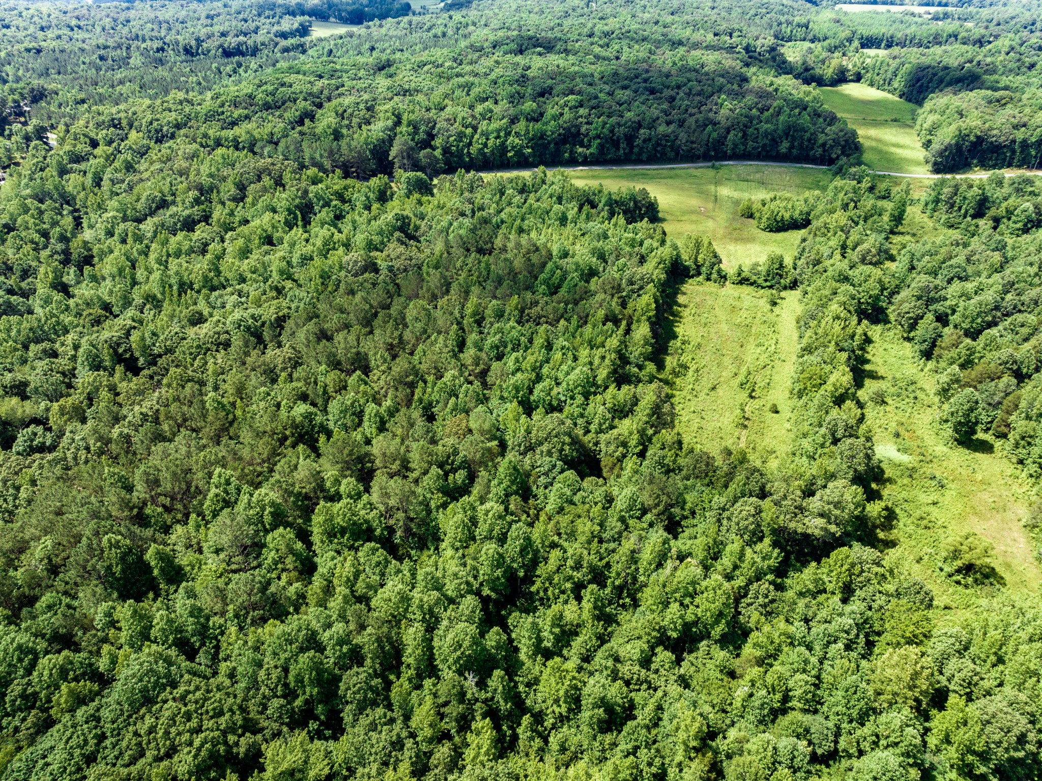 675 Tubbs Spring Branch Road Darden, TN 38328 - Photo 13 of 29 Gallery Image 13