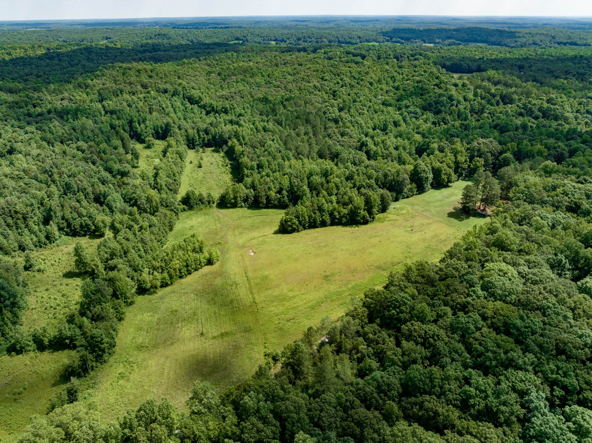 675 Tubbs Spring Branch Road Darden, TN 38328 - Photo 3 of 29 Gallery Image 3