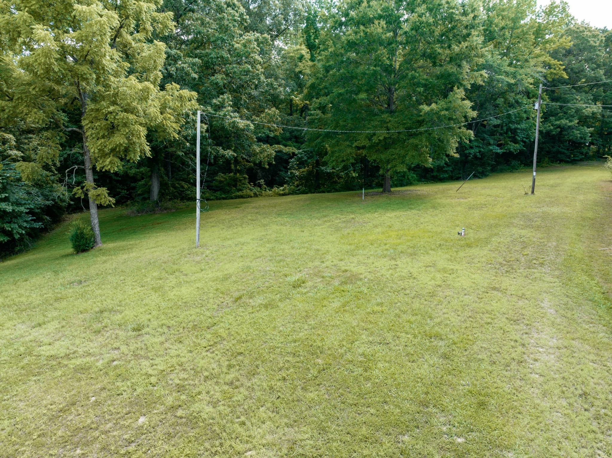 675 Tubbs Spring Branch Road Darden, TN 38328 - Photo 4 of 29 Gallery Image 4