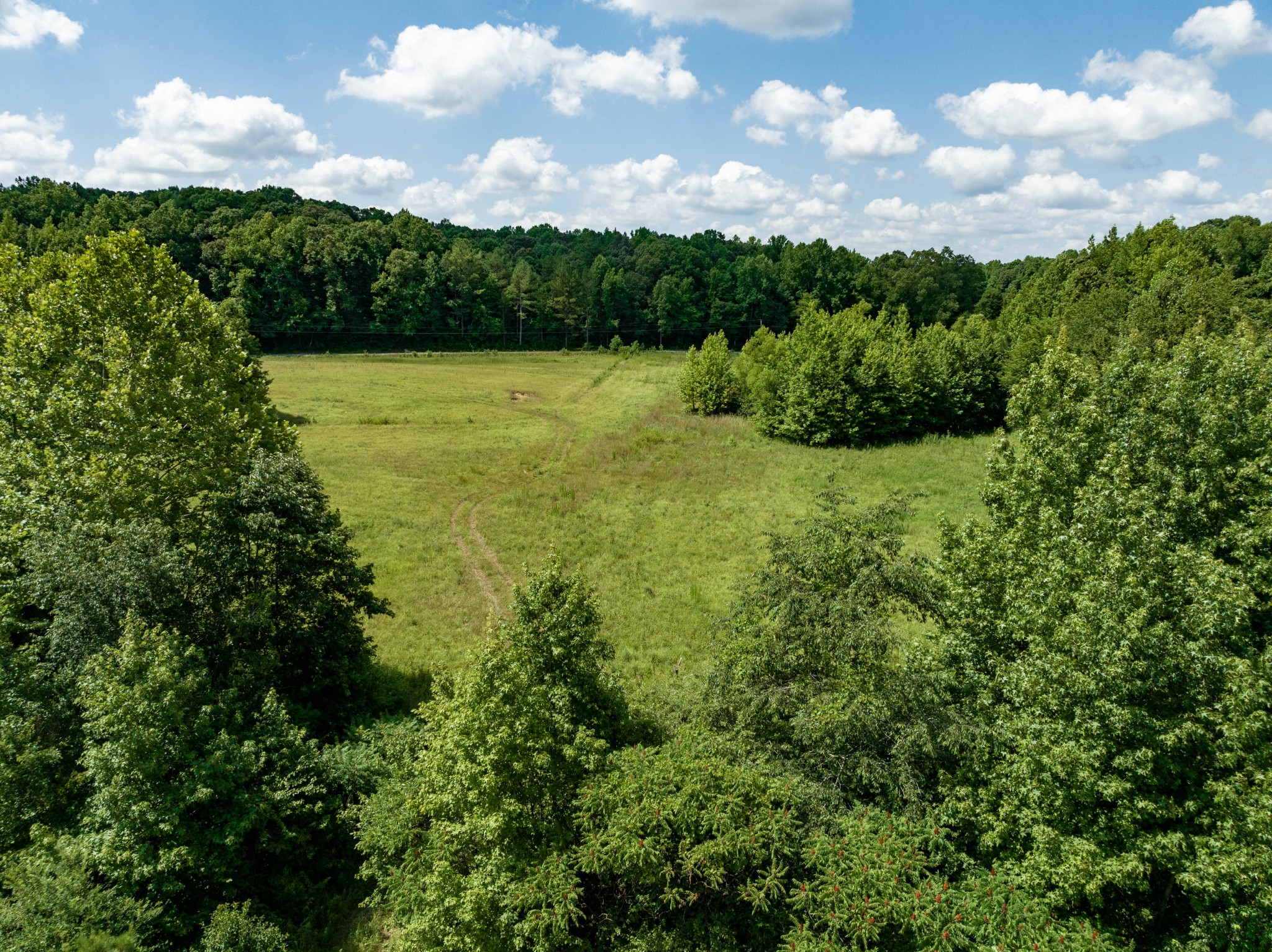 675 Tubbs Spring Branch Road Darden, TN 38328 - Photo 5 of 29 Gallery Image 5