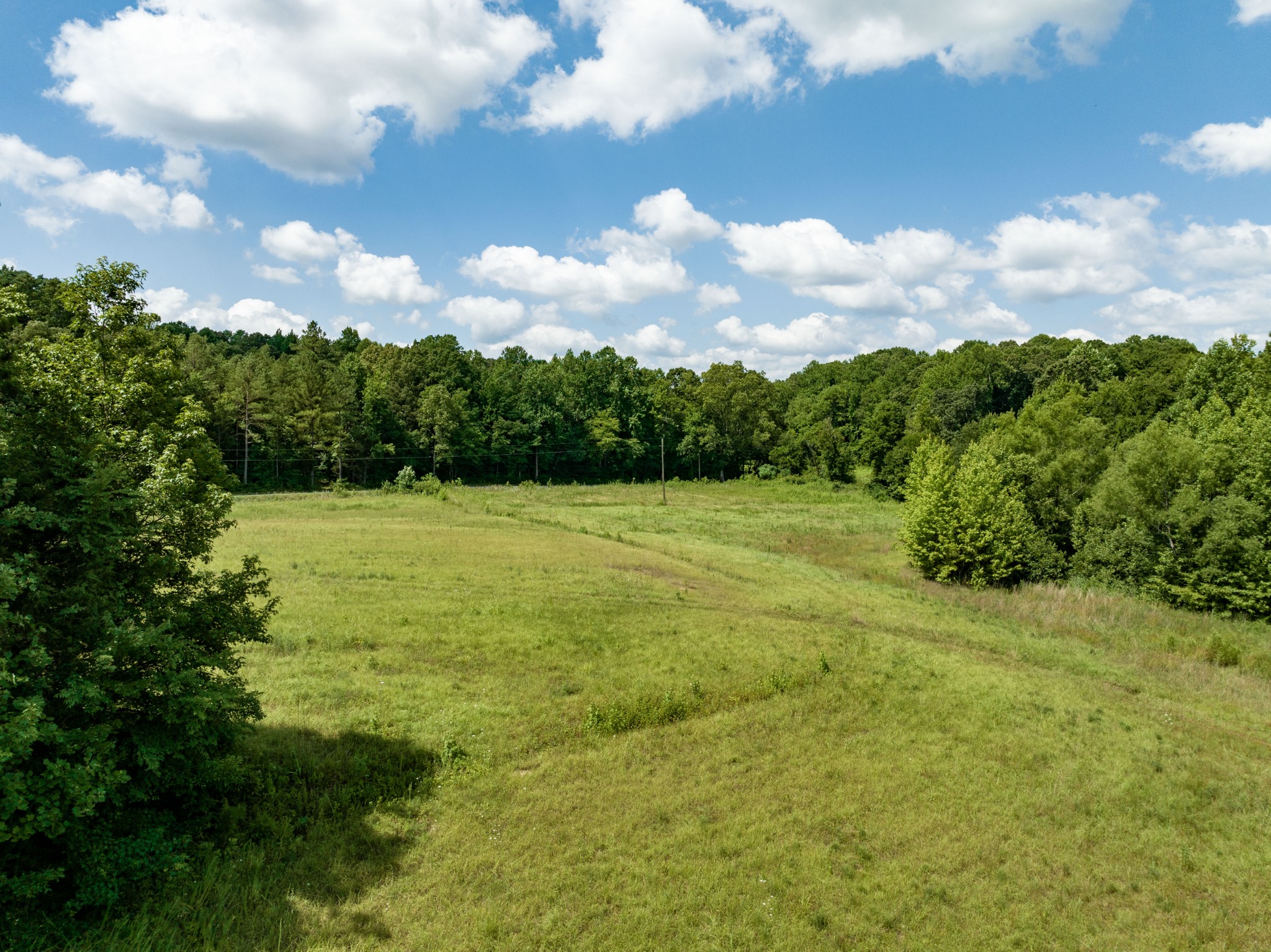675 Tubbs Spring Branch Road Darden, TN 38328 - Photo 8 of 29 Gallery Image 8