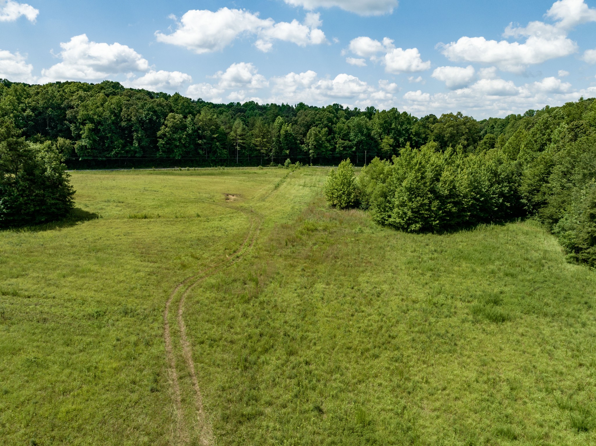675 Tubbs Spring Branch Road Darden, TN 38328 - Photo 10 of 29 Gallery Image 10