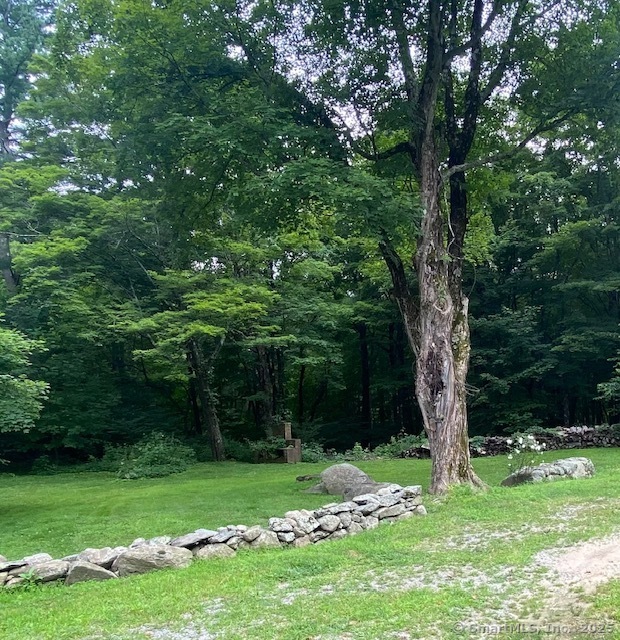 623 Elm Street Monroe, CT 06468 - Photo 4 of 22 a big yard with lots of green space and trees