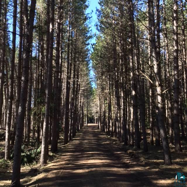 59 Devil Track Road Grand Marais, MN 55604 - Photo 18 of 18 Gallery Image 18