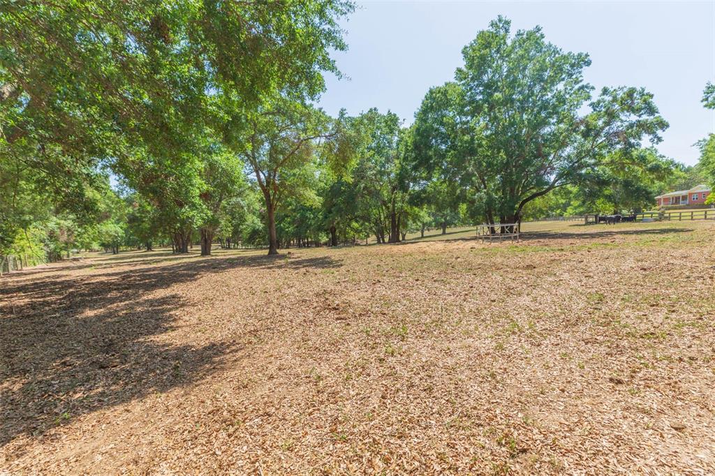 34211 Blanton Road Dade City, FL 33523 - Photo 82 of 100 Gallery Image 82