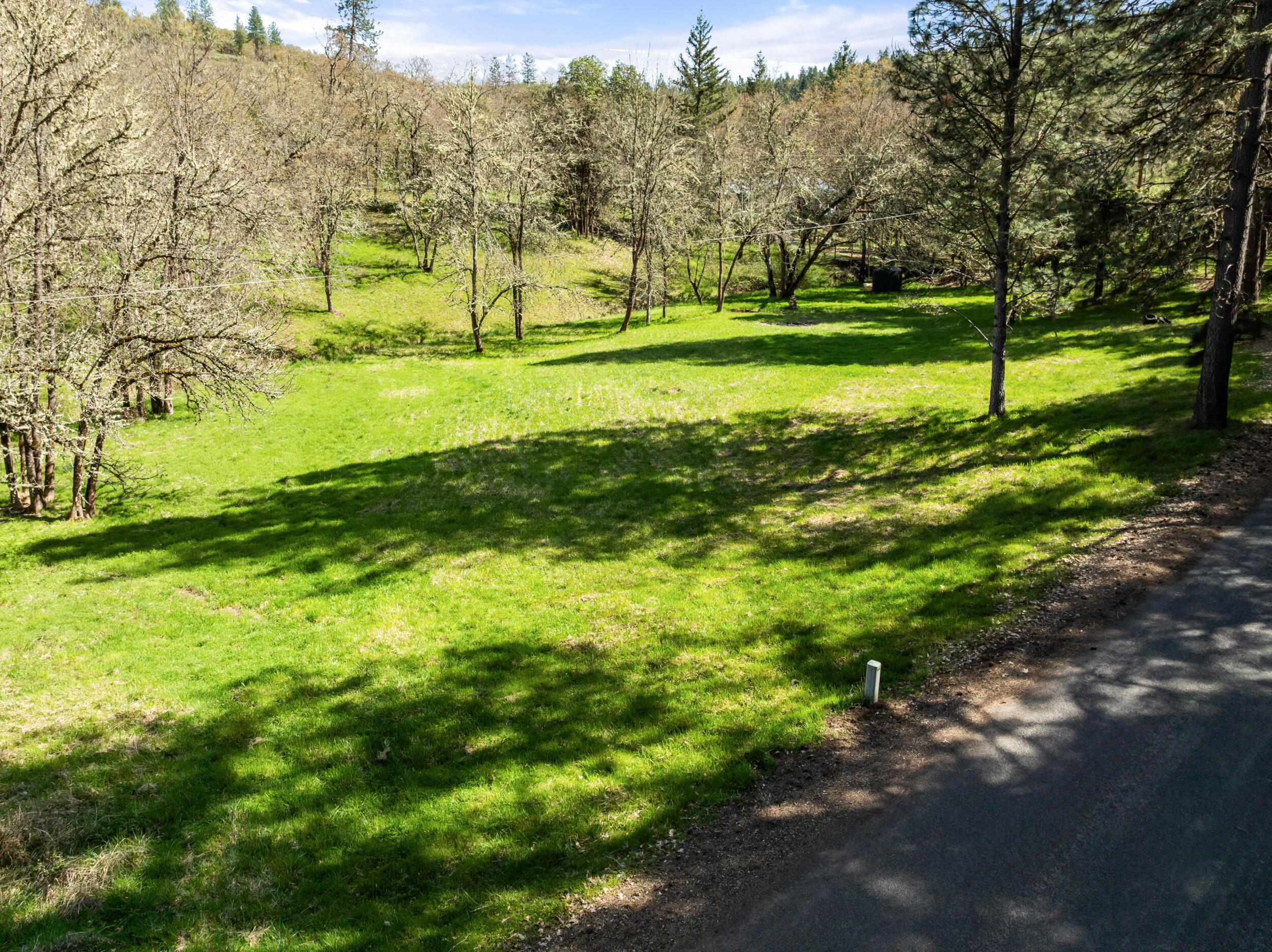 1237 Daisy Creek Road Jacksonville, OR 97530 - Photo 10 of 31 1237-daisy-creek-rd-dr-39