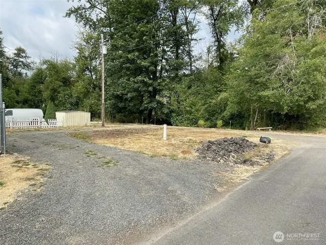 a close up of a plant