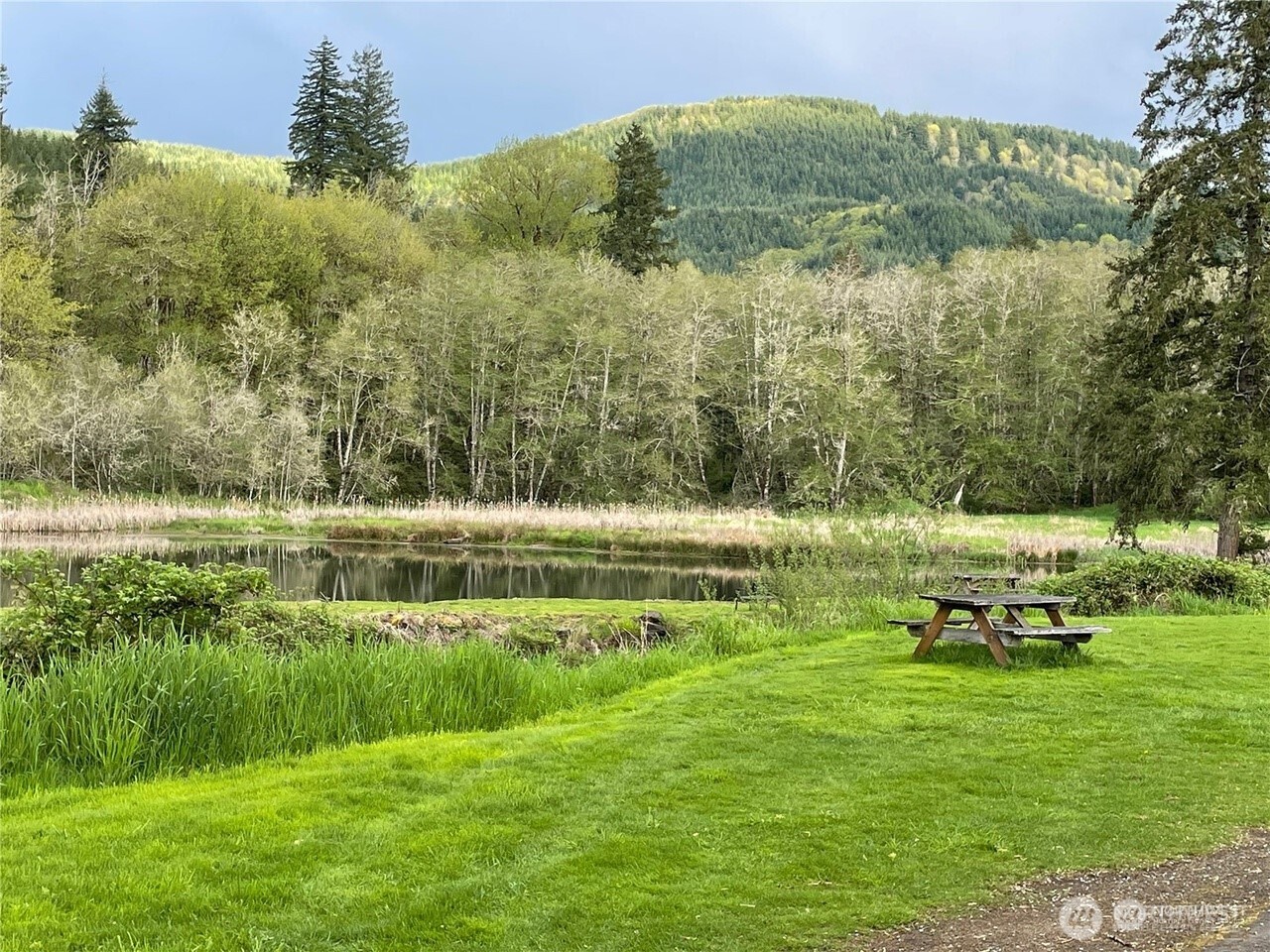 200 Madison Street Ryderwood, WA 98581 - Photo 22 of 26 a view of a lake with a yard