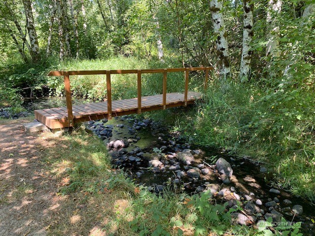 200 Madison Street Ryderwood, WA 98581 - Photo 24 of 26 a view of a yard with a tree